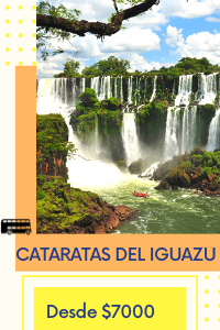 INTERCAMBIO PORTADA (1)